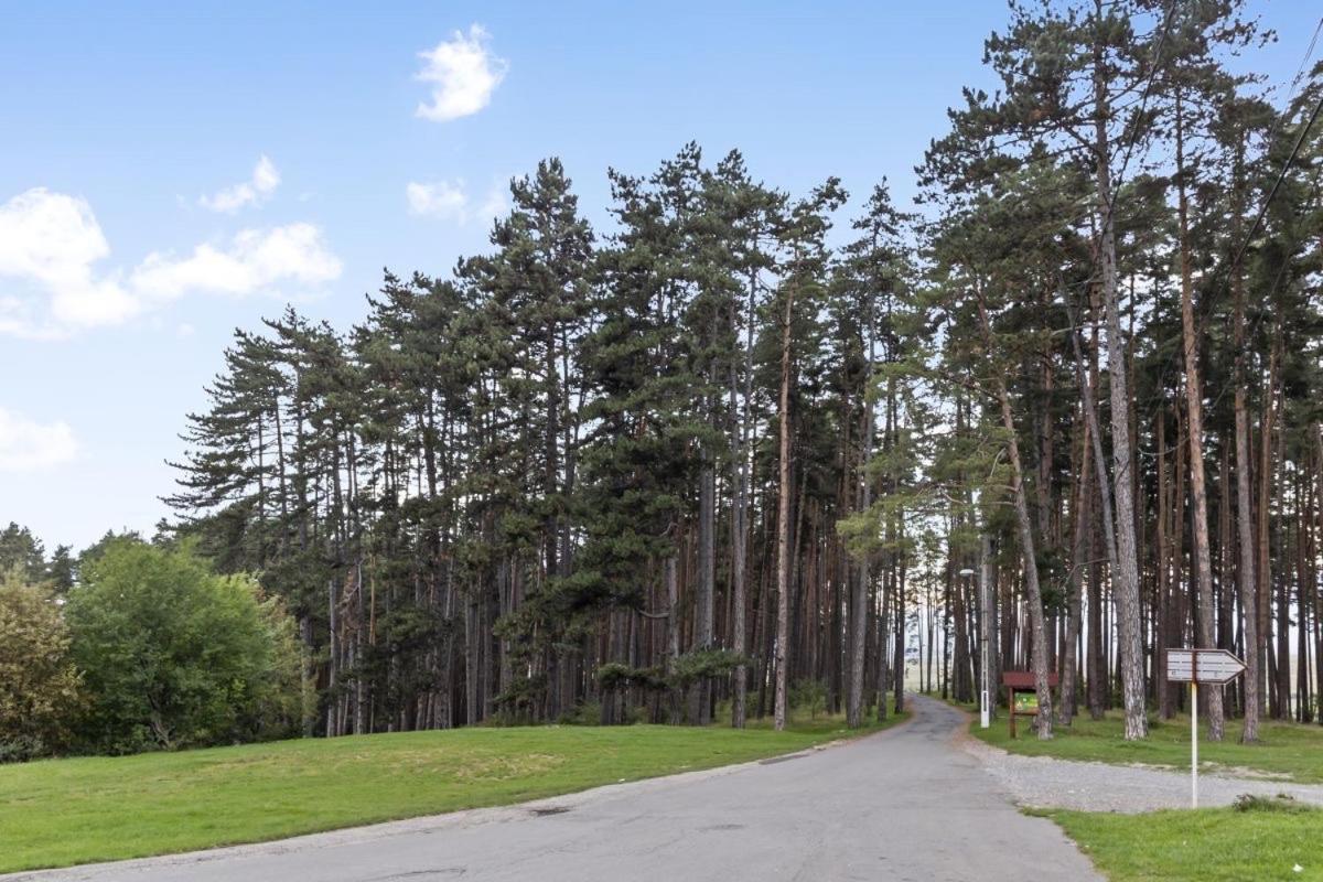 Casa Georgea Villa Săcele Eksteriør billede
