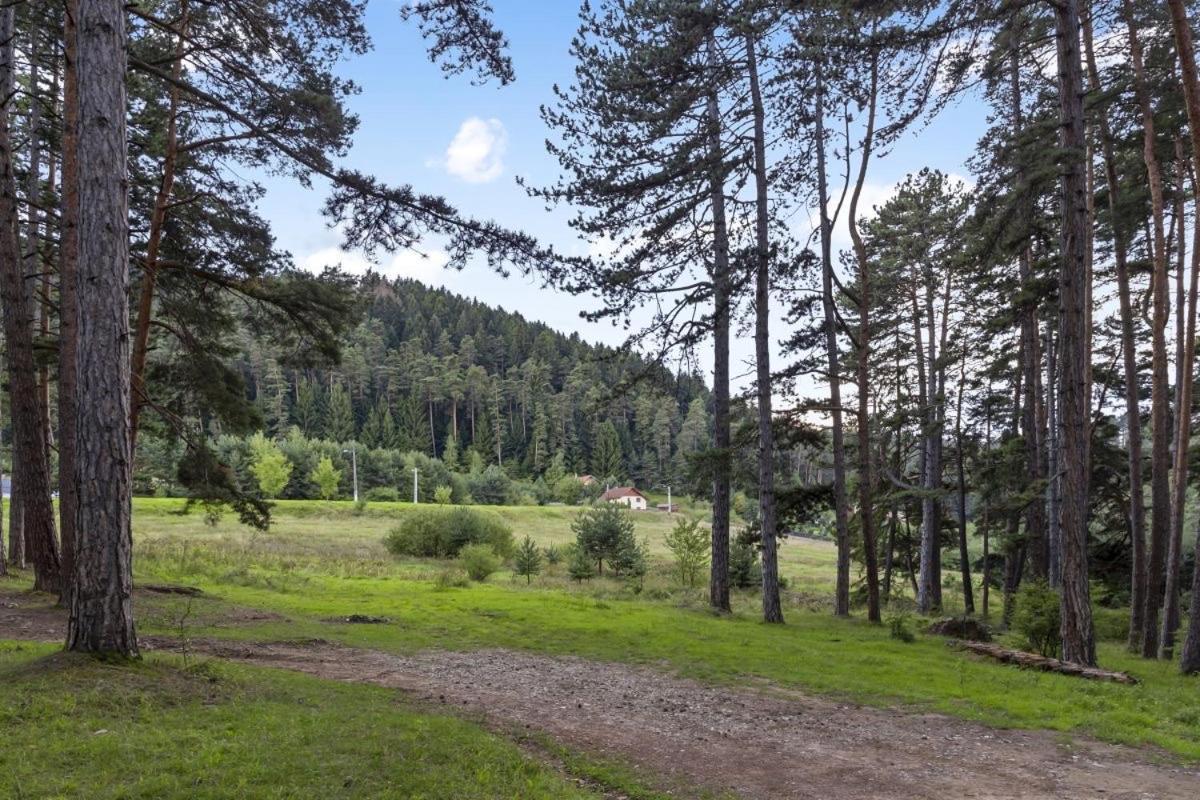Casa Georgea Villa Săcele Eksteriør billede